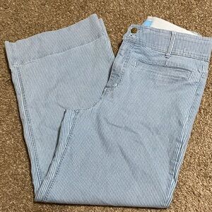 Draper James Women's Blue Striped pants